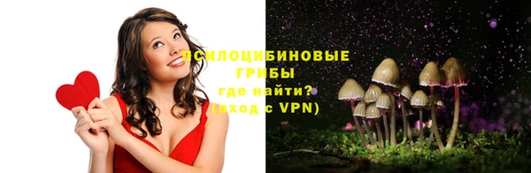 твердый Алексеевка