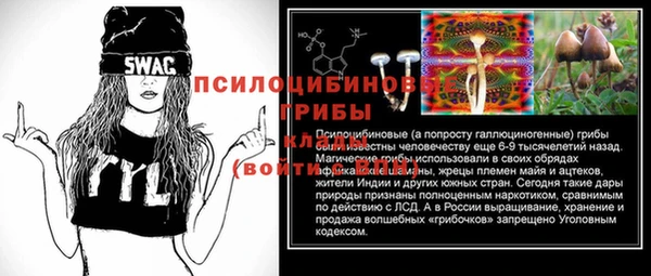 дживик Алексин